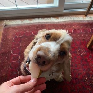 Meet your Posher, Laura